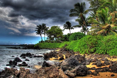 RUGGED MAUI BEACH HDR WALLPAPER   (