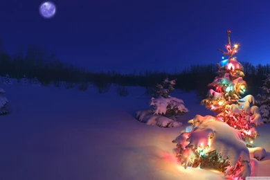 New Years Eve 2 Wallpapers