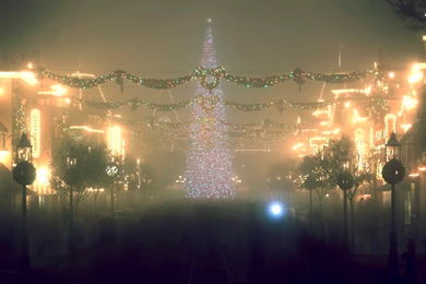 New Year's Eve At Disneyland Widescreen Wallpapers