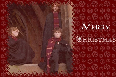 My Free Wallpapers   Movies Wallpapers : Harry Potter   Merry Christmas