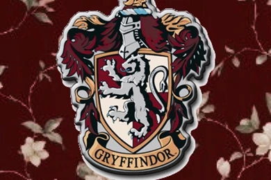 Harry Potter My Edits Gryffindor Hufflepuff Slytherin Ravenclaw ...