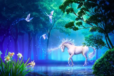 Unicorn And Magic Birds   Mythical Creatures Wallpapers