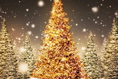 Christmas iPad 1 & 2 Wallpapers