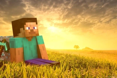 Wallpapers X Minecraft Hero With A Diamond Block 1366x768 ...