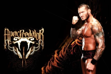 Randy Orton Hd Free Wallpapers