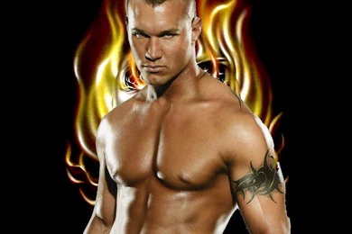 Randy Orton Hd Free Wallpapers