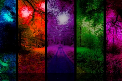 239 Colors HD Wallpapers