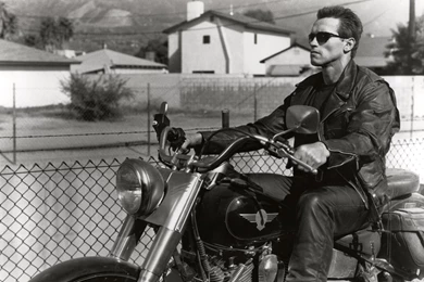 99 Arnold Schwarzenegger HD Wallpapers