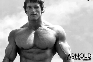 Arnold Schwarzenegger Wallpapers