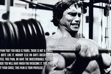 Pain Arnold Schwarzenegger Bodybuilding Weights Inspiration Muscle ...