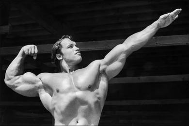 Arnold Bodybuilding Wallpapers Hd