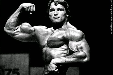 Wallpapers Gallery: Arnold Wallpapers