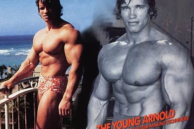 Desktop Wallpaper, The Young Arnold