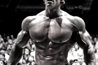 Most Muscular Men: Arnold Schwarzenegger Complete Profile