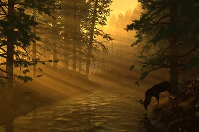 HD 3D Landscape Wallpapers