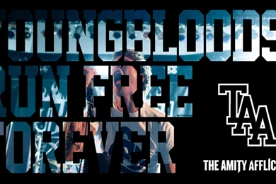 Amity Affliction Desktop Wallpapers