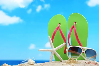 Beach Flip Flops Wallpapers