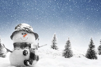 Cute Winter Wallpapers 2015   Grasscloth Wallpapers