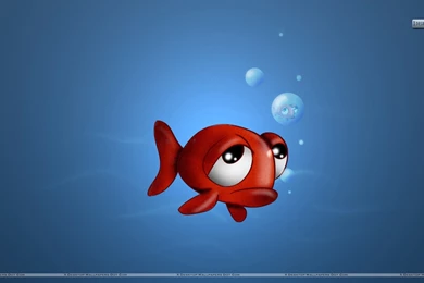 Widescreen, Background, Wallpaper, Fish, Rock, Beauty (