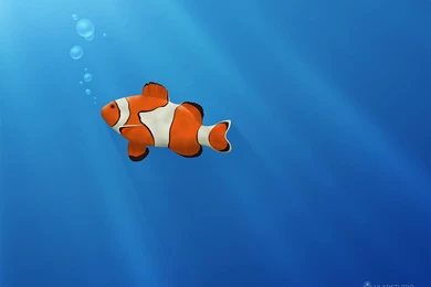 Fish Wallpaper Backgrounds
