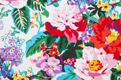 Greenbrier   Dorothy Draper Fabrics And Wallcoverings