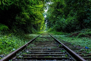 High Definition Wallpapers With Train Railway In Nature Forest