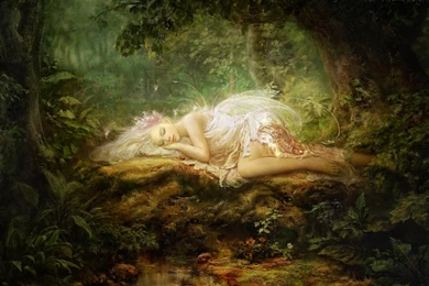 21+ Fairy Wallpapers, Fantasy Fairy Backgrounds, Images, Pictures ...