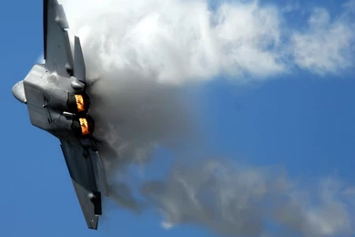 Download Raptor Skelly Wallpapers 1280x1024