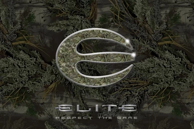 Elite Archery Logos