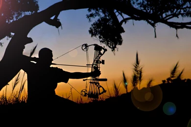 Archery Wallpapers   Page 3