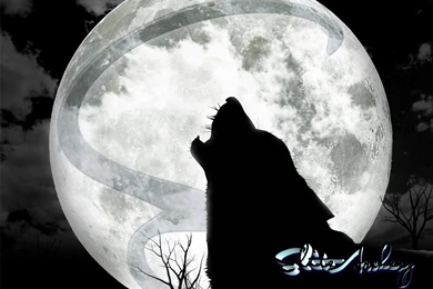 Diamond Archery Backgrounds