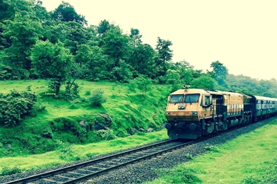 Pro TLH: Landscapes: The Brown Hues Of Arabia Vs The Greens Of Kerala