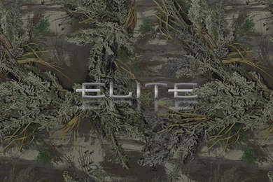 Archery Wallpapers Android Images