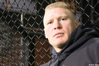 Brock Lesnar Wallpapers Download Free