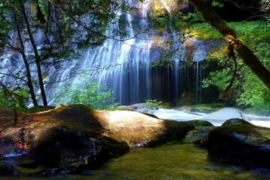 Waterfall Forest Wallpapers