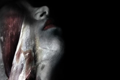 Gothic Computer Wallpapers , Bestscreenwallpaper.com , Fly Free HD ...