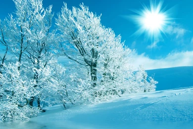 Very Beautiful Winter Wallpapers