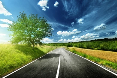High Resolution Nature Road Wallpapers Full HD Full Size ...