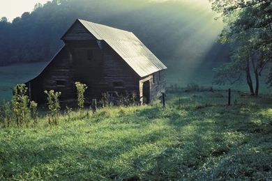 Excellent Tennessee Wallpapers