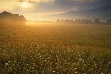 Great Tennessee Wallpapers