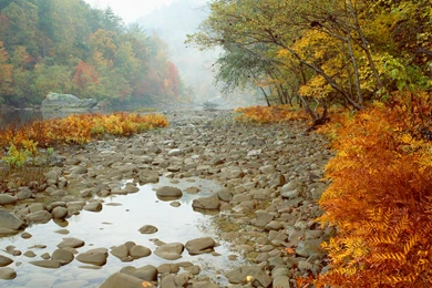 Beautiful Tennessee Wallpapers