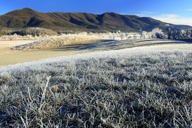 Tennessee Wallpapers