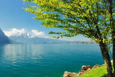 Beautiful Scenery Hd Wallpapers Free Download