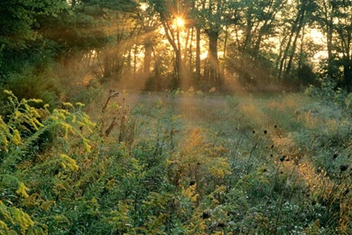 Sunrise Tennessee Wallpapers