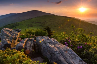 Roan Mountain, Appalachian Mountains, Tennessee Wallpaper,the ...