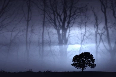 Haunted Wallpapers HD Wallpapers & Backgrounds Haunted   Host2post