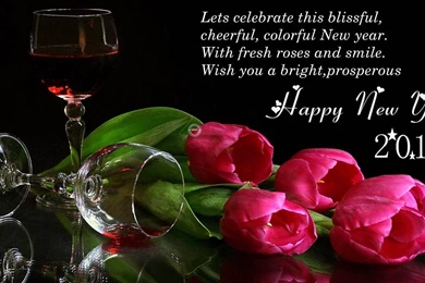 Amazing Hd Wallpapers New Year 2014 Lovely Desktop Backgrounds ...