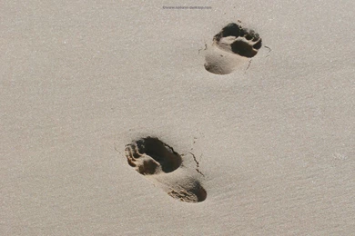 Wallpapers Feet Rex Footprint Template Footprints In The Sand Poem ...