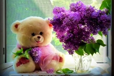 Happy teddy bear day wallpaper pics images free download hd ...