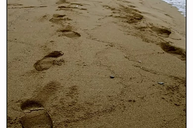 Footprints In The Sand By Madilar On DeviantArt